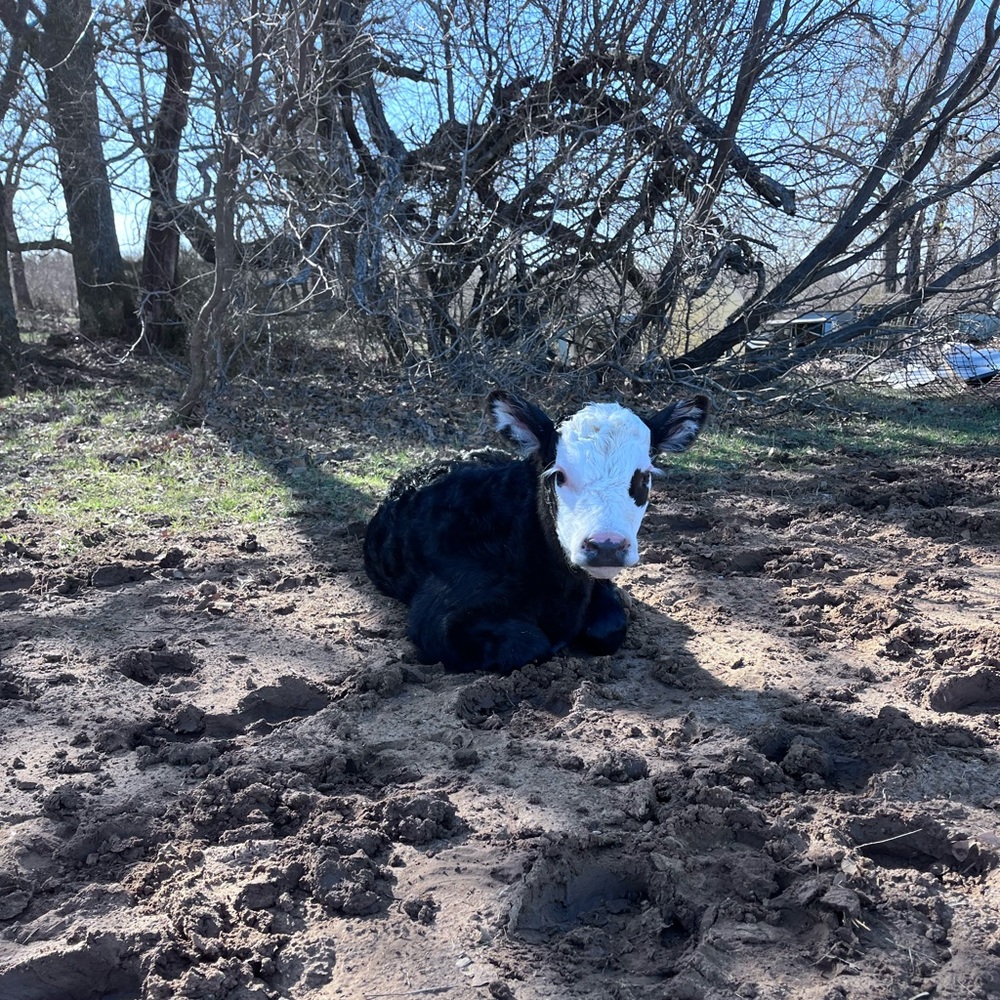 Meet your Posher, Kelsey